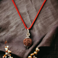 7 Mukhi Nepali Rudraksha - Saat Mukhi