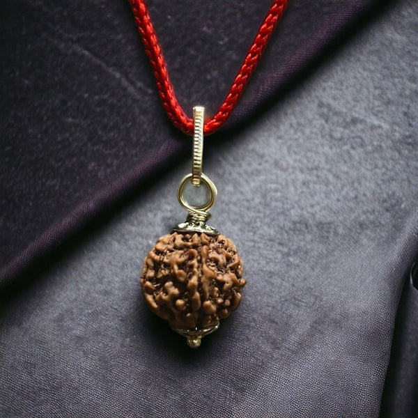 7 Mukhi Nepali Rudraksha - Saat Mukhi