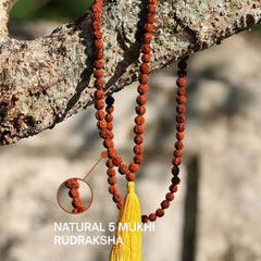 108 Beads Rudraksha Jaap Mala