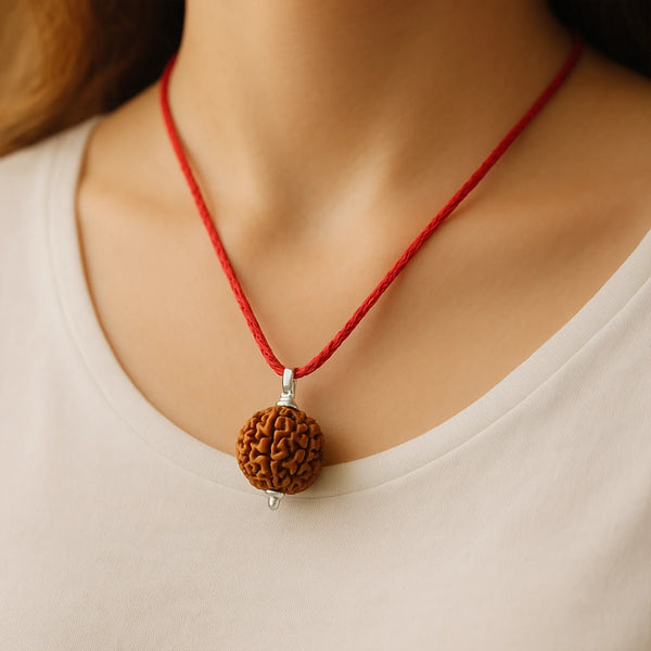 7 Mukhi Nepali Rudraksha - 100% Original
